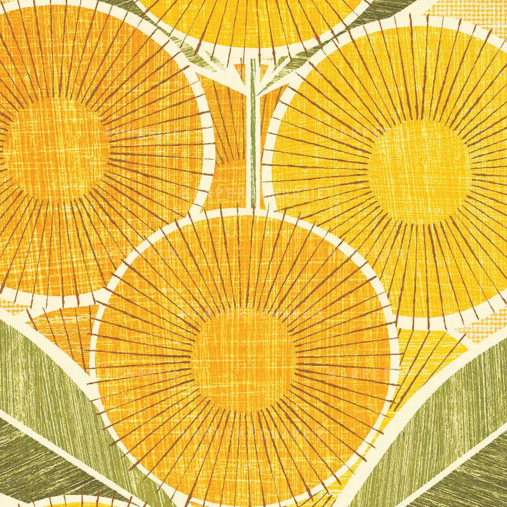 Australian Flora Wallpaper Range - Wattle – Ginger Monkey
